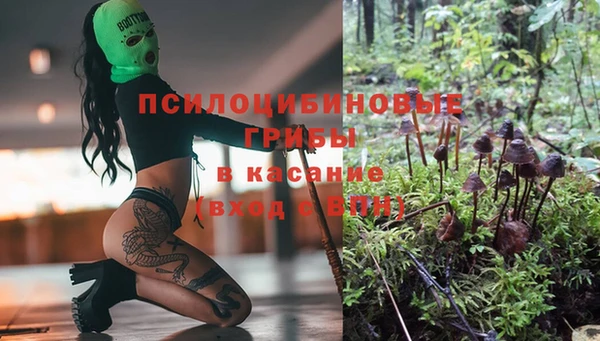 ешки Костерёво