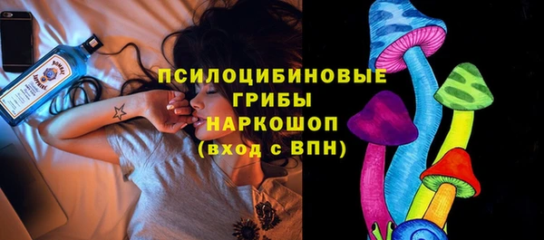 а пвп мука Корсаков
