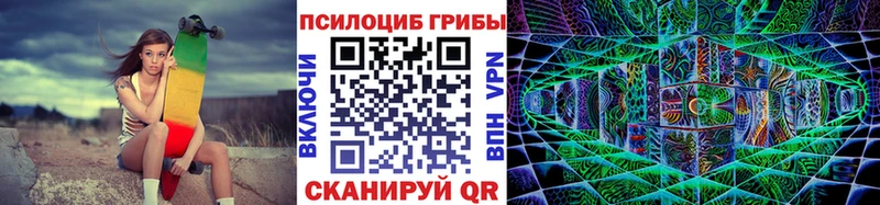 Галлюциногенные грибы Cubensis Котово